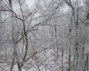 Winter View from Master Bedroom