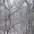 Winter View from Master Bedroom