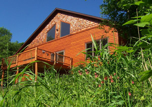 SE View