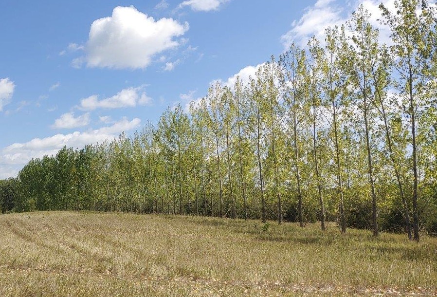 Lot201
